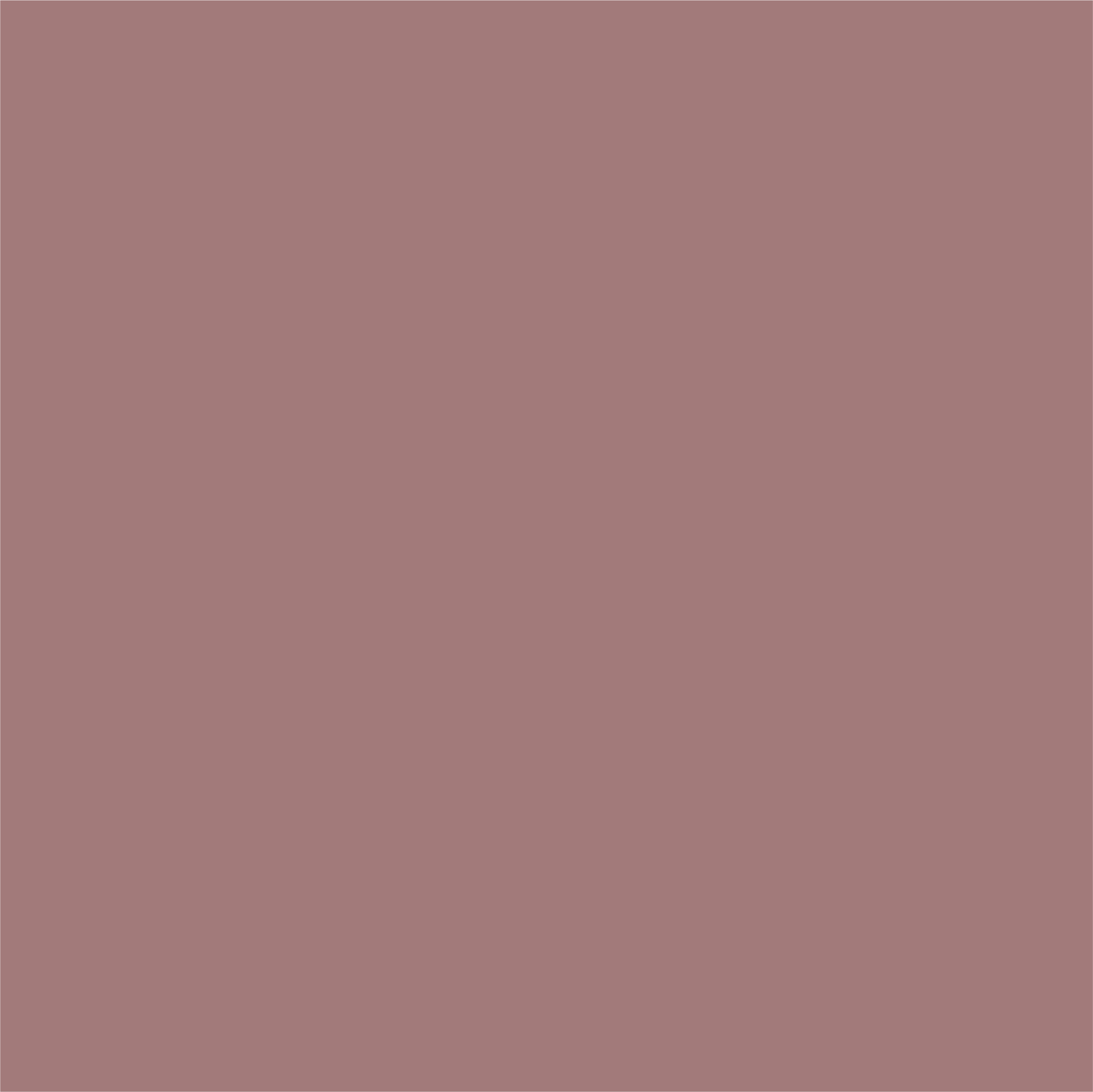 Poster CacaoColor 3.png