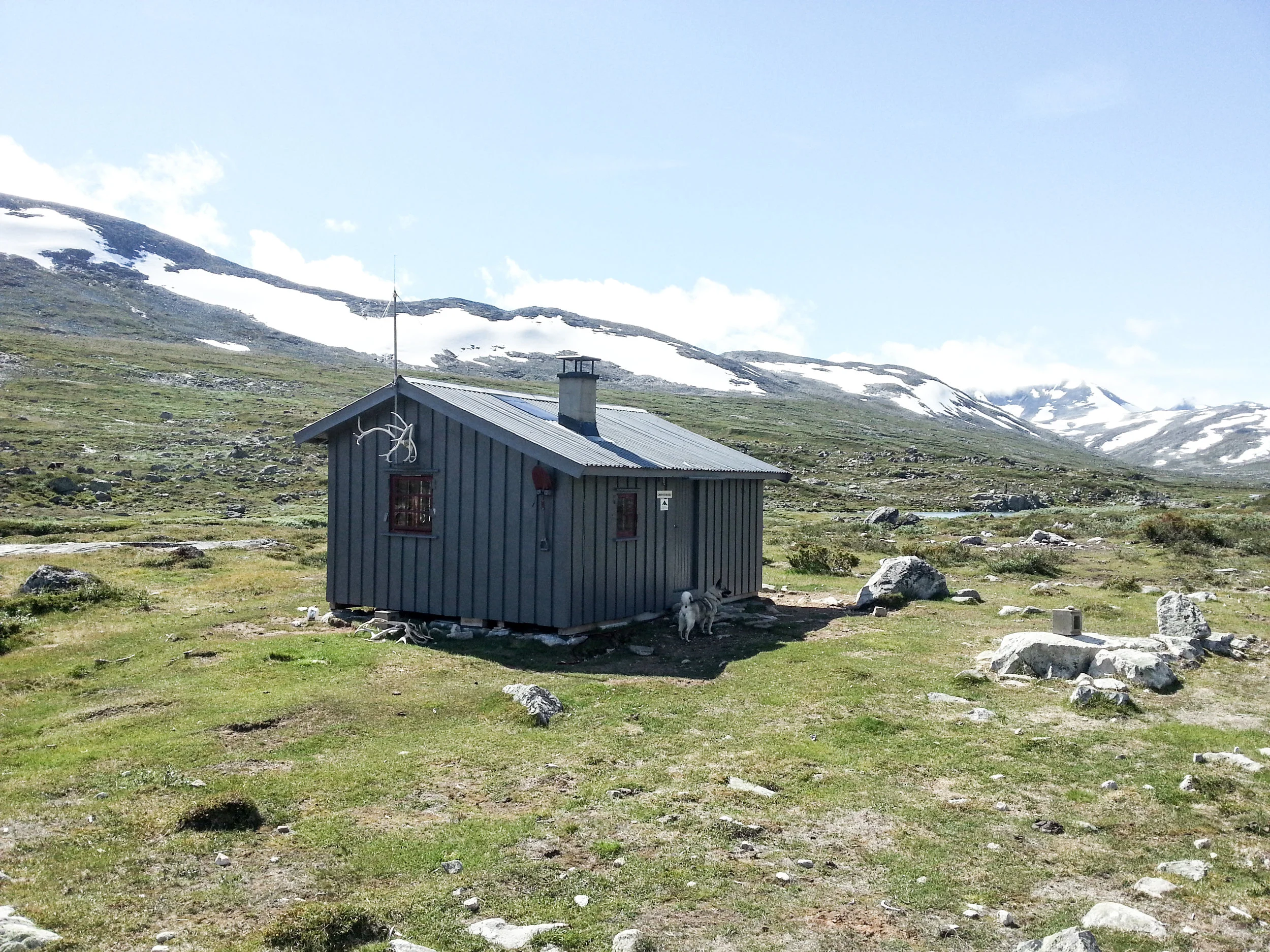 Grønstorrbu sommar 2016.jpg