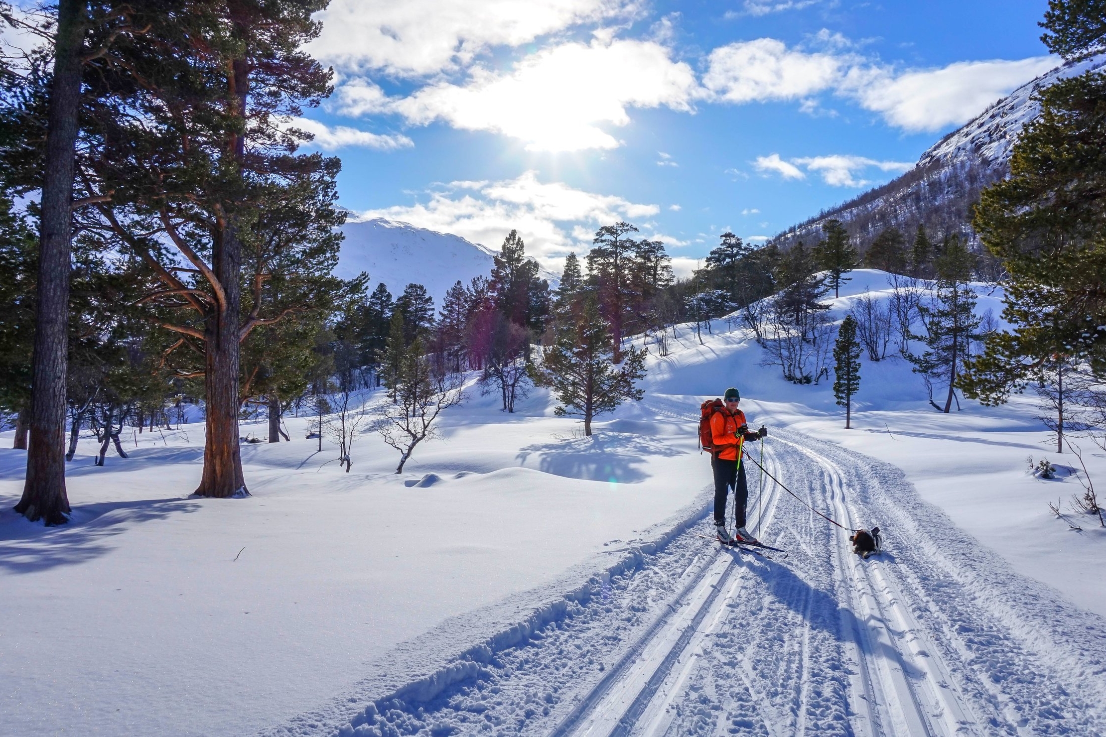 Foto: Birgit J Løyland/ Sota Sæter