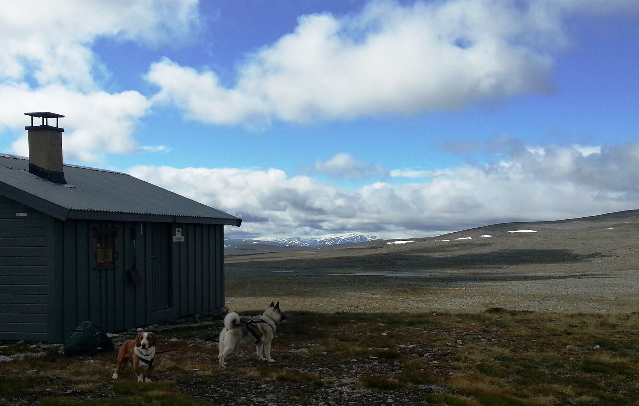 Storhøbu august 2015.jpg