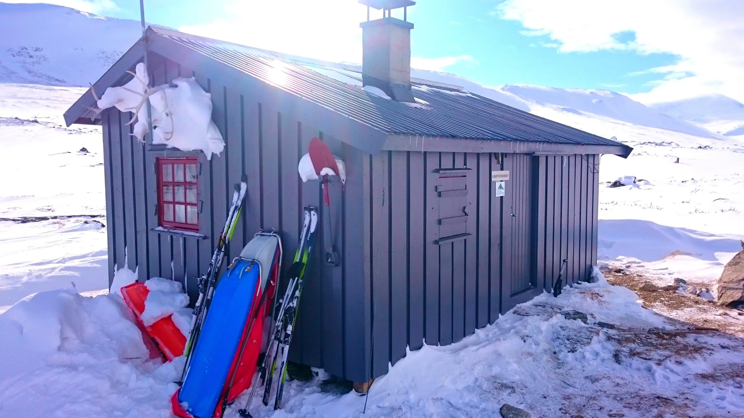 Grønstorr feb2016.jpg