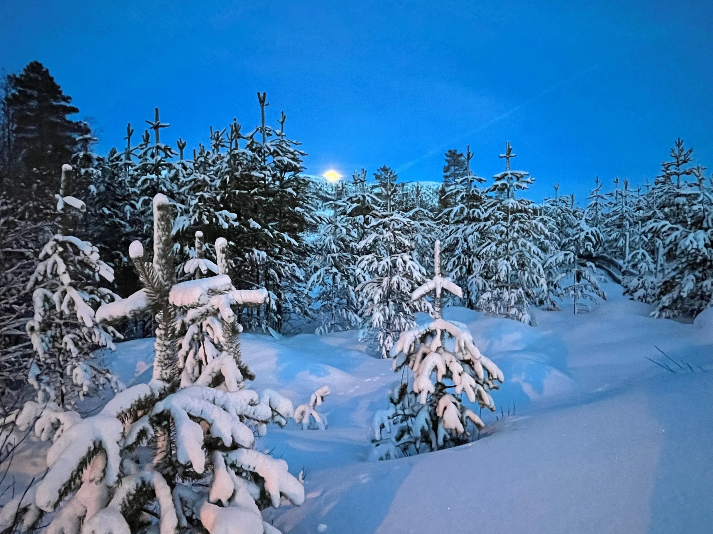 Fullmåne i Botn.jpg