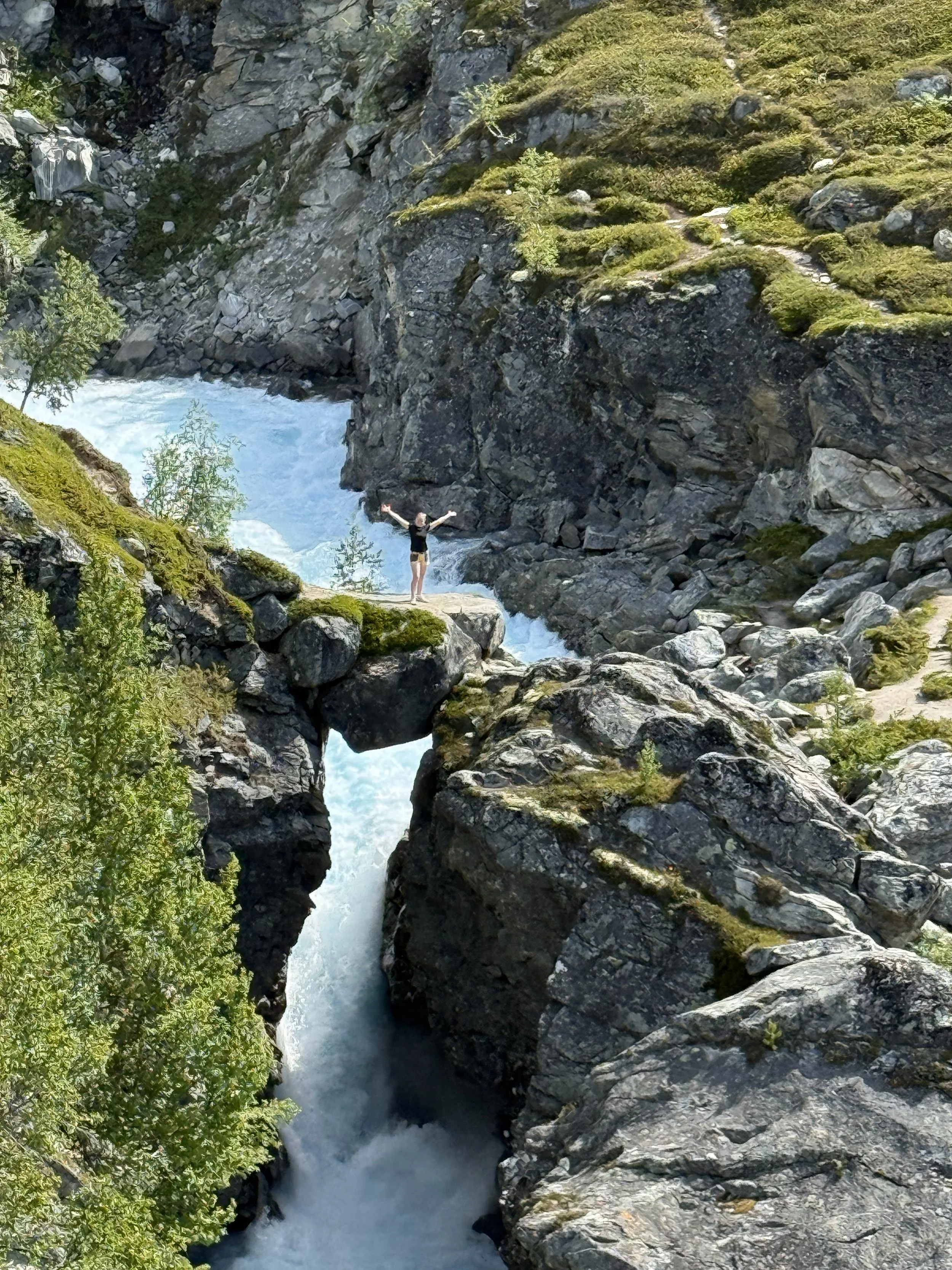 Vi søkjer sommervikar 2026! 