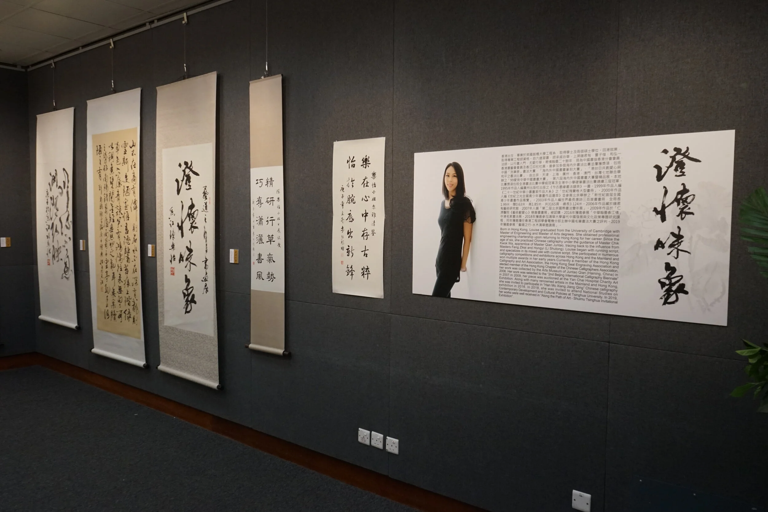  2020年11月7至9日假座中環香港大會堂高座七字樓展覽館舉行「藝道之行—澄懷味象四人書畫邀請展」 