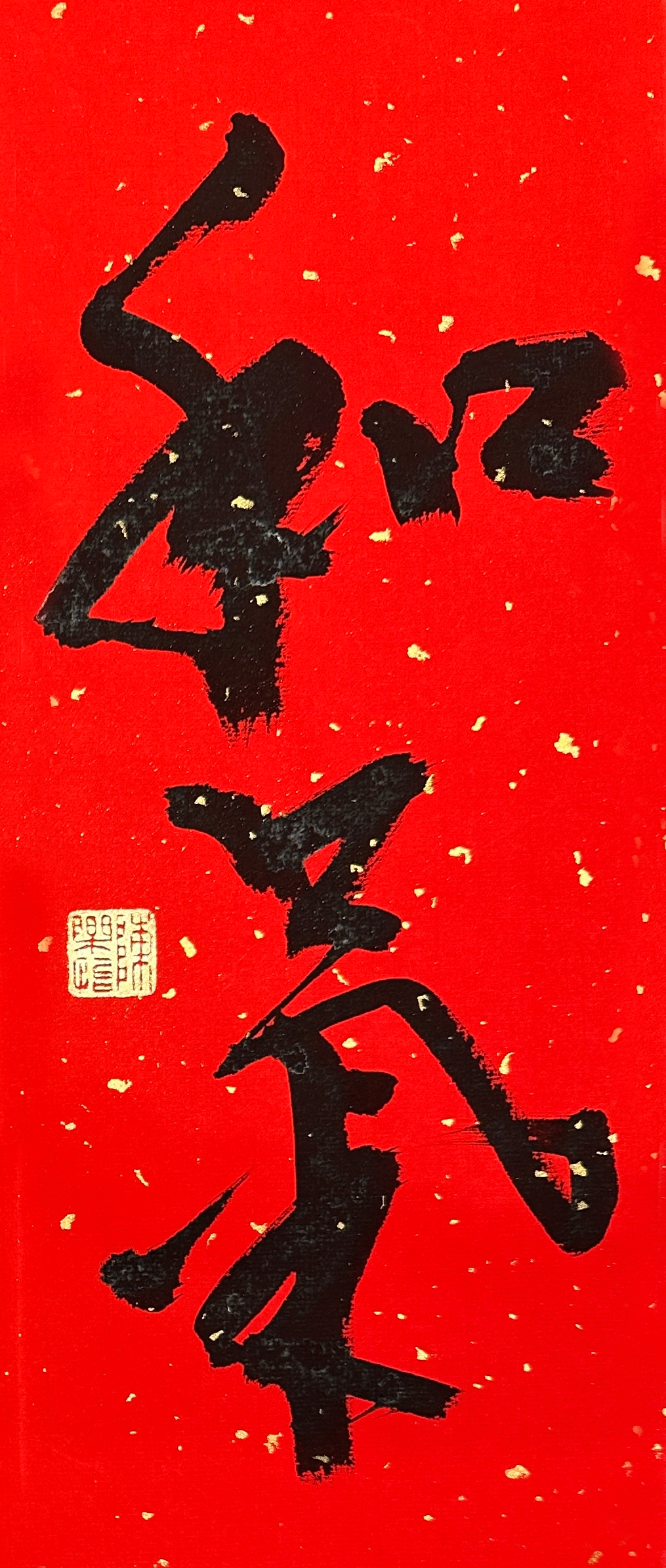 IMG_2950 Heqi.png