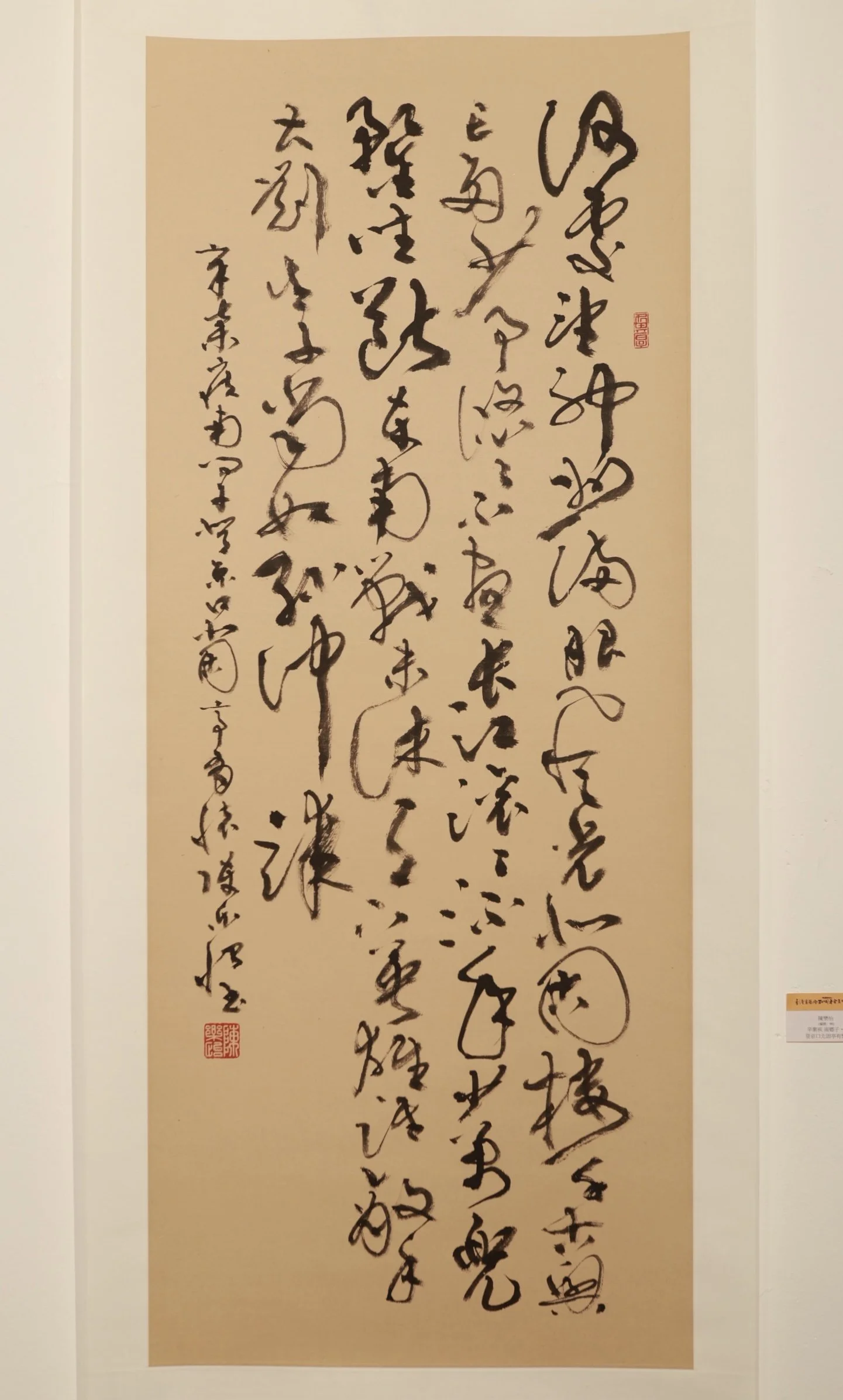 辛棄疾 詞《南鄉子 · 登京口北固亭有懷》 四尺條幅 草書 70x148cm