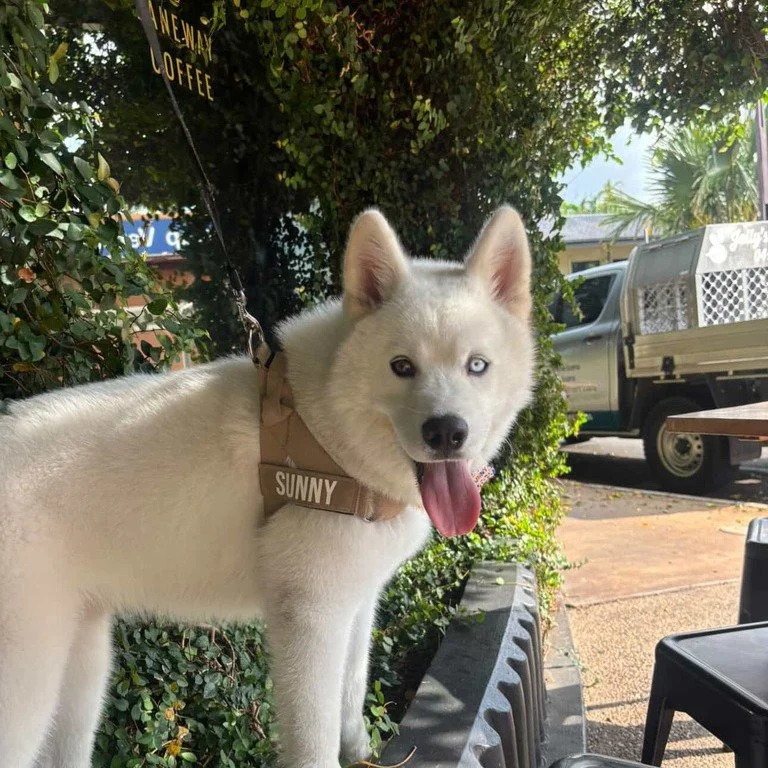 The best part of our weekends? The Dogs (and the people who bring them) 🐾