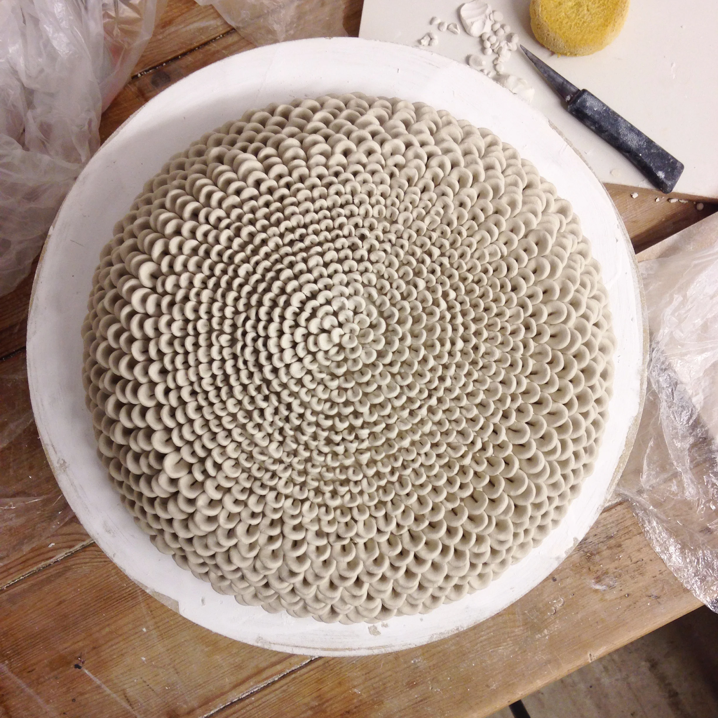 Detailed DAHLIA.jpg
