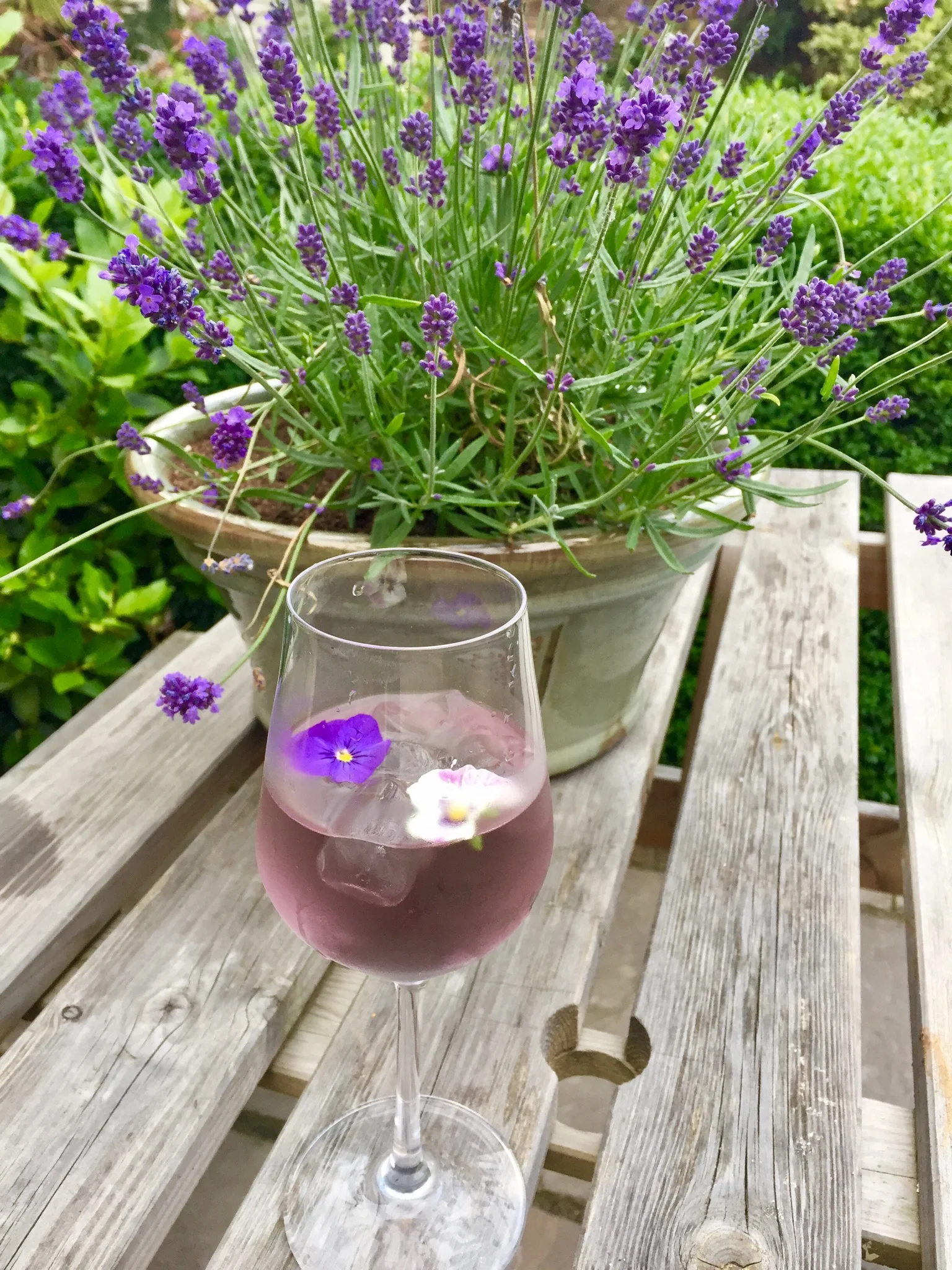 Zoe's picture of Violet Spritzer in a very different, summery mood