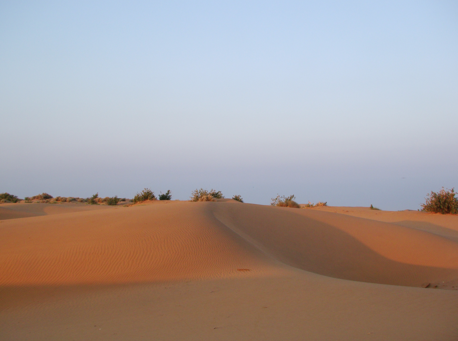 Screen Shot 2015-05-28 at 21.58.52.png