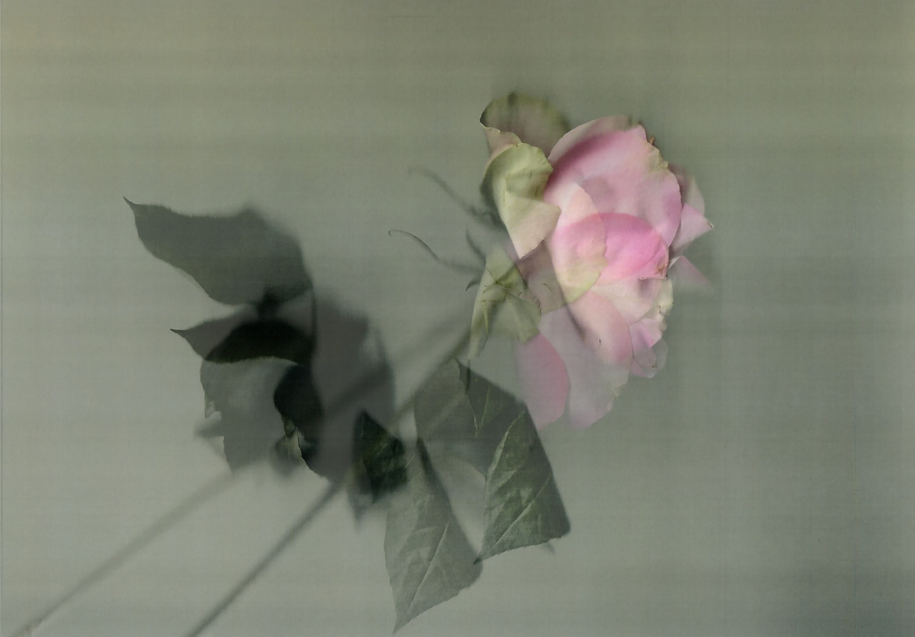 Screenshot 2020-04-06 at 09.01.23.png