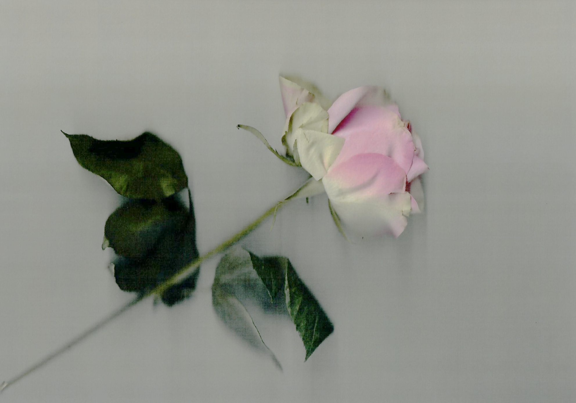 Screenshot 2020-04-06 at 09.03.26.png