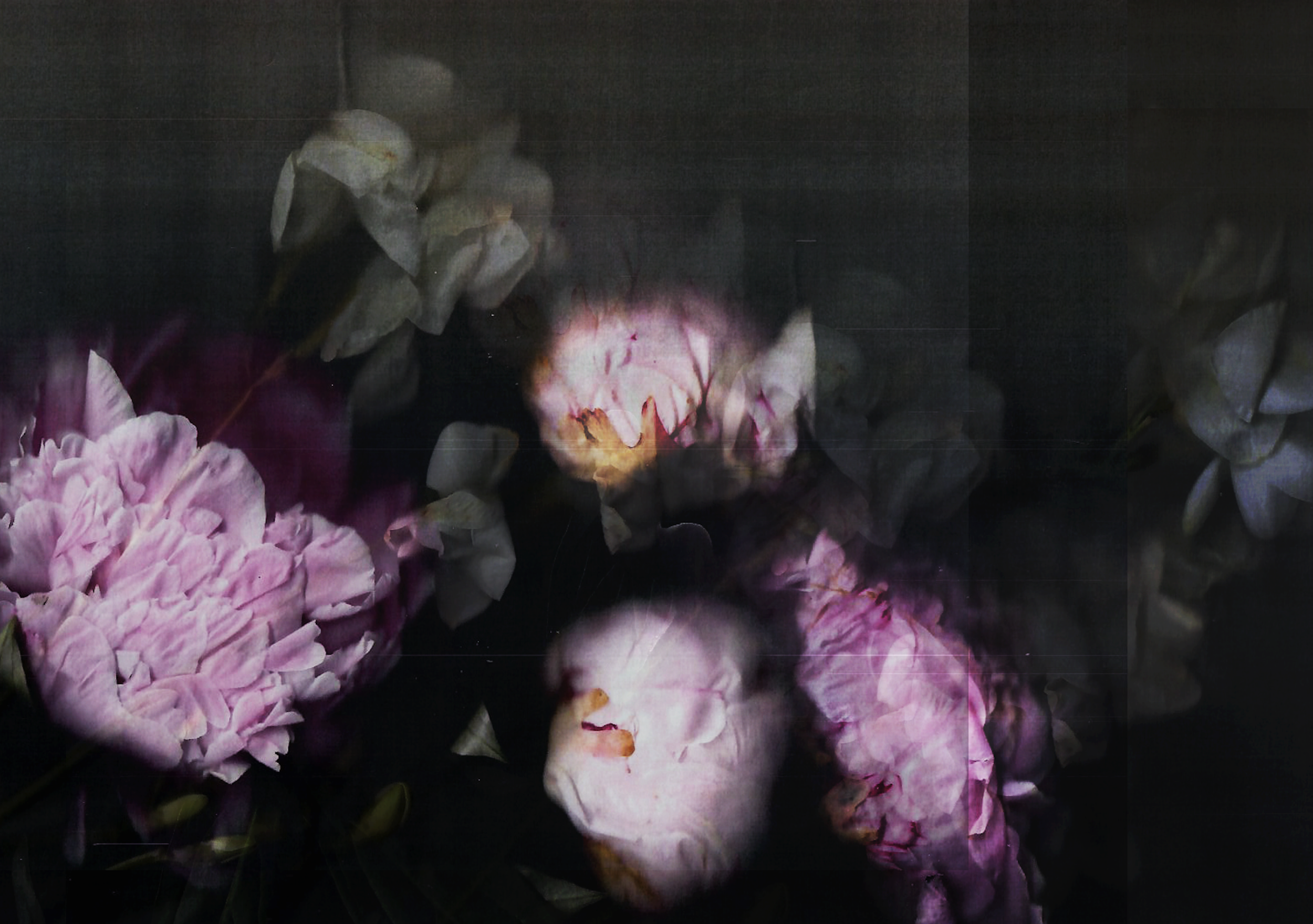 Screenshot 2020-04-06 at 09.03.38.png