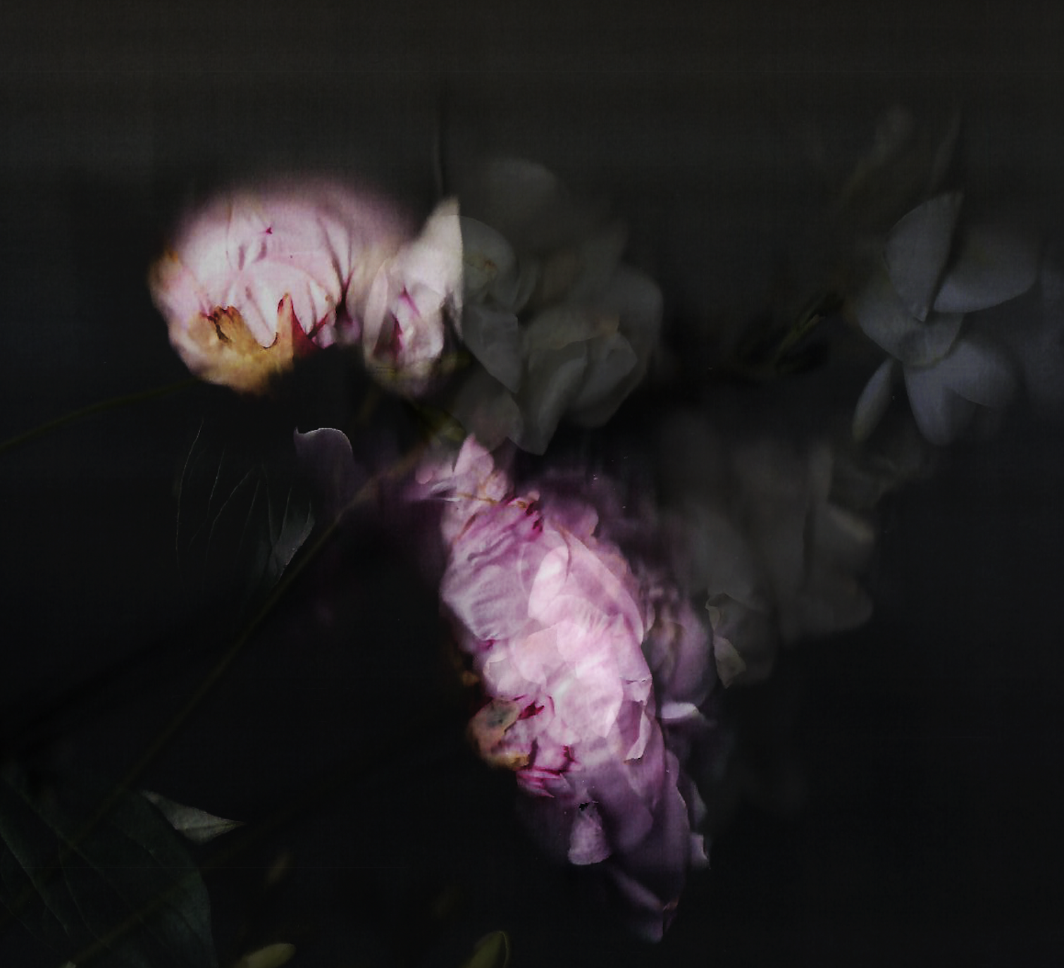 Screenshot 2020-04-06 at 09.04.10.png