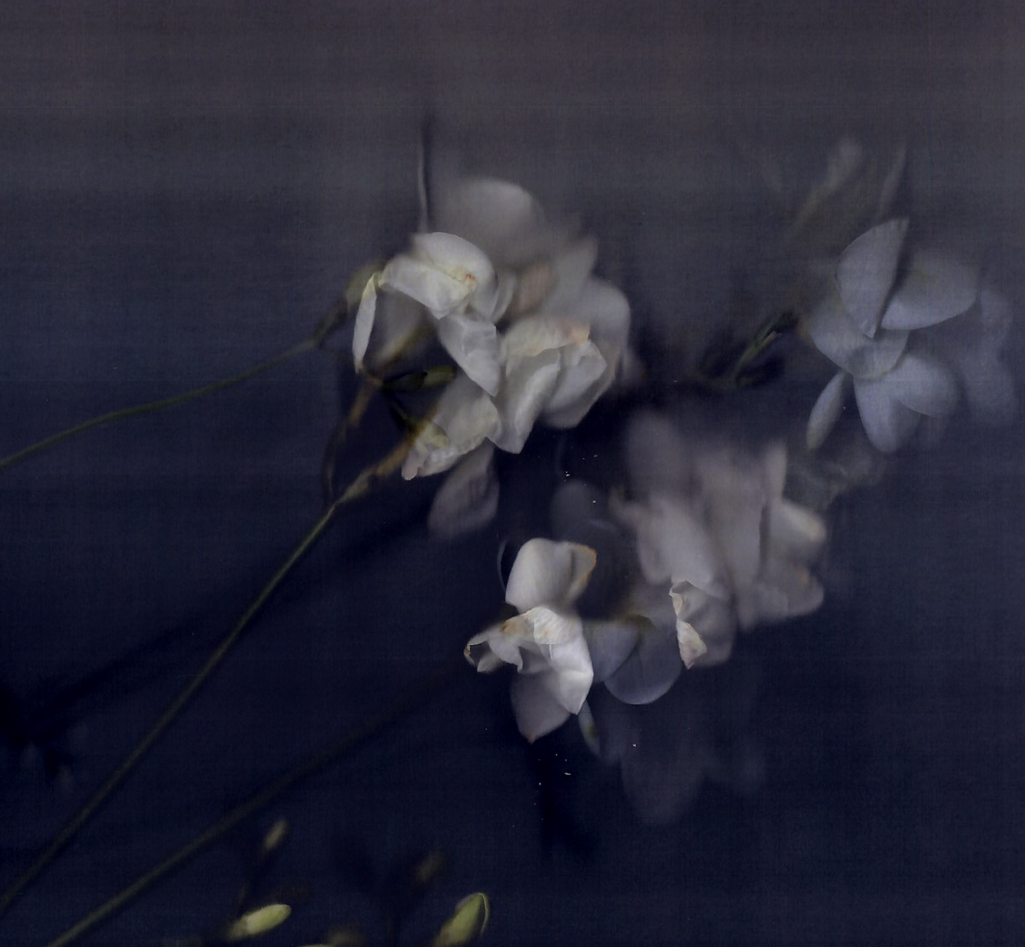 Screenshot 2020-04-06 at 09.09.06.png