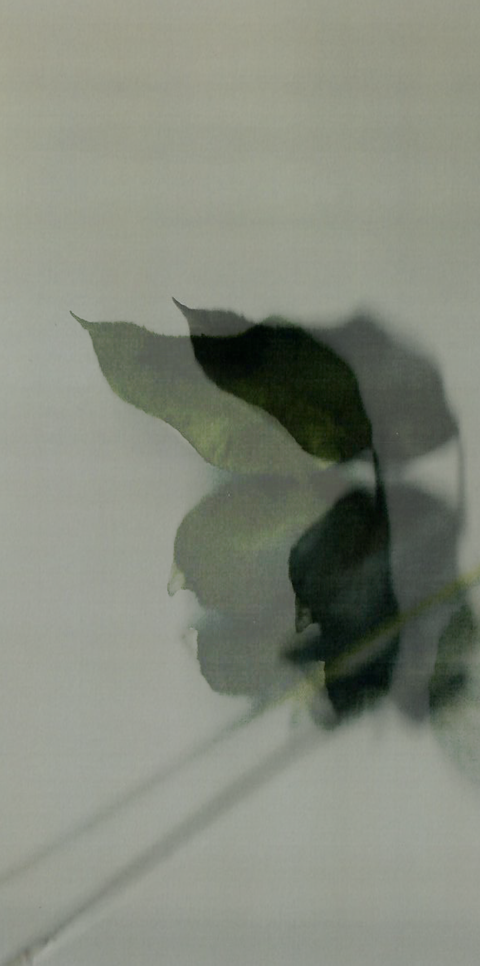 Screenshot 2020-04-06 at 09.08.13.png