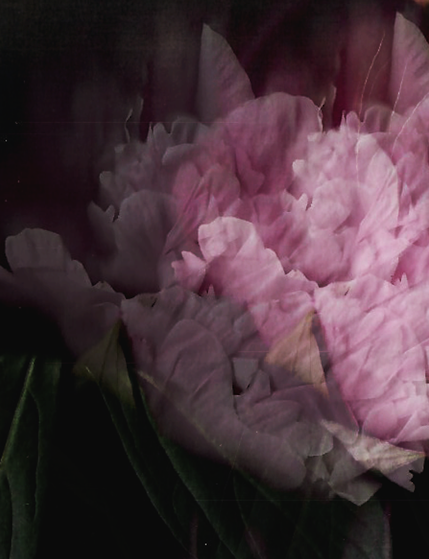 Screenshot 2020-04-06 at 09.10.55.png