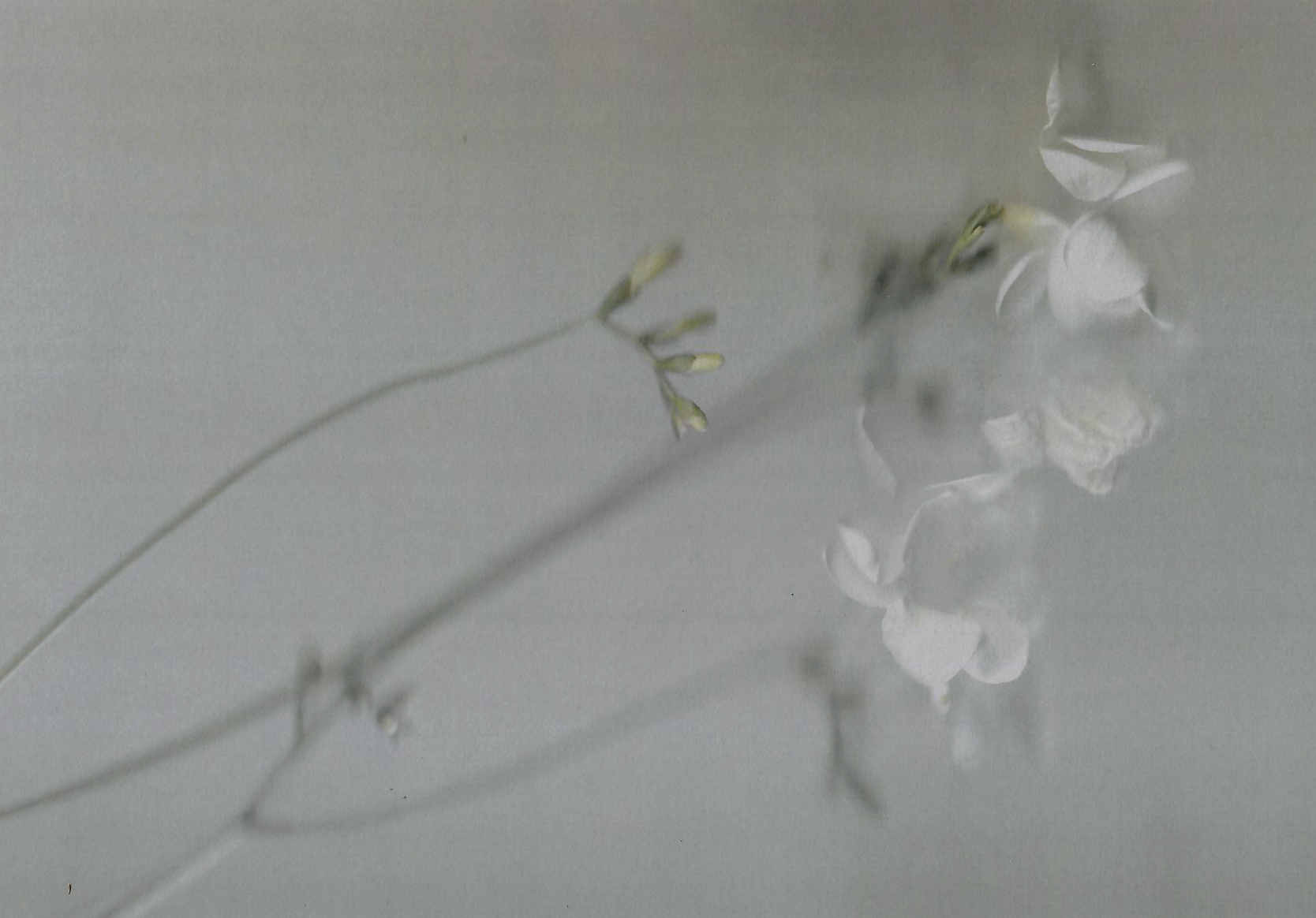 Screenshot 2020-04-06 at 09.18.00.png