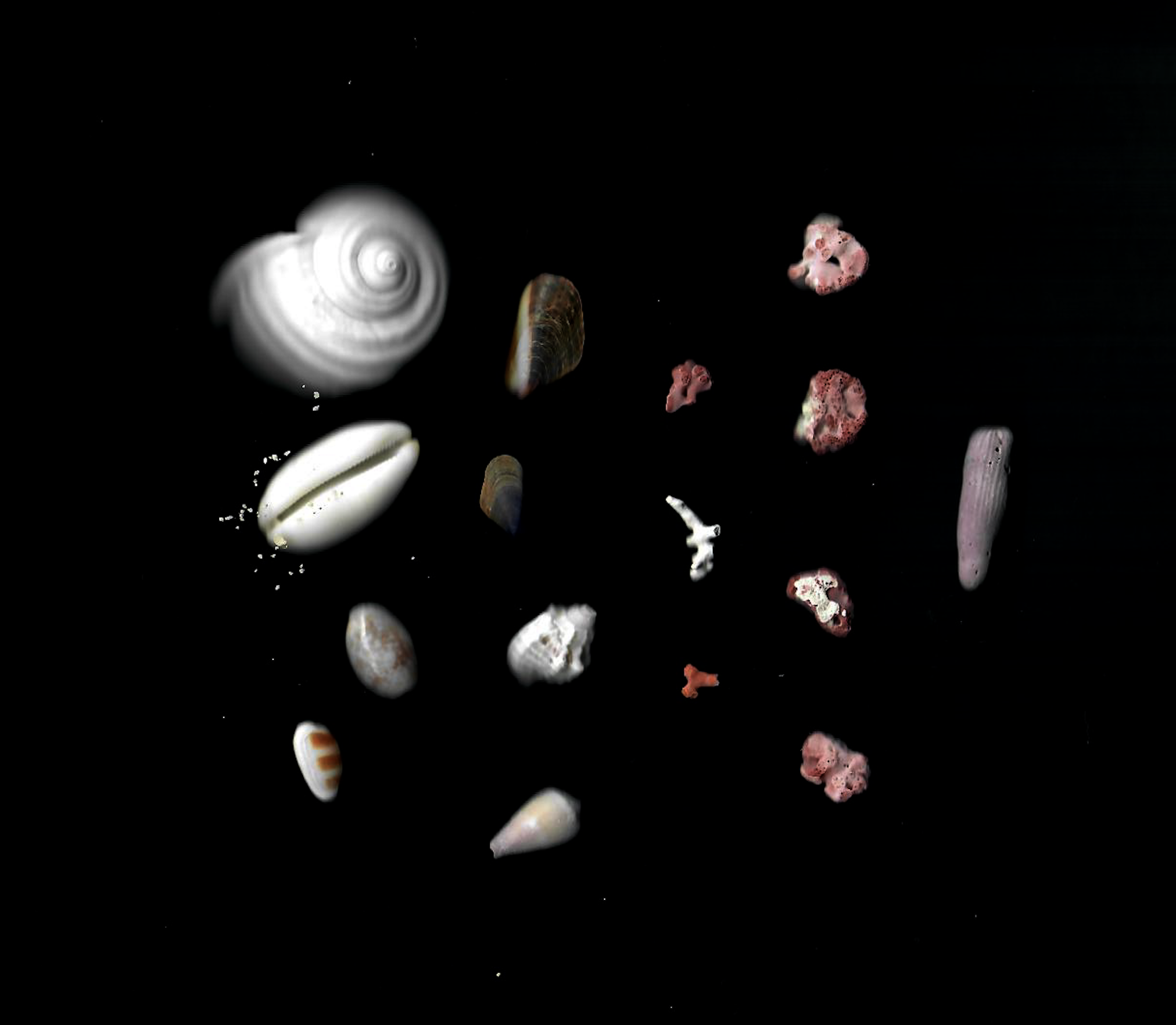 Screenshot 2020-05-30 at 13.16.14.png
