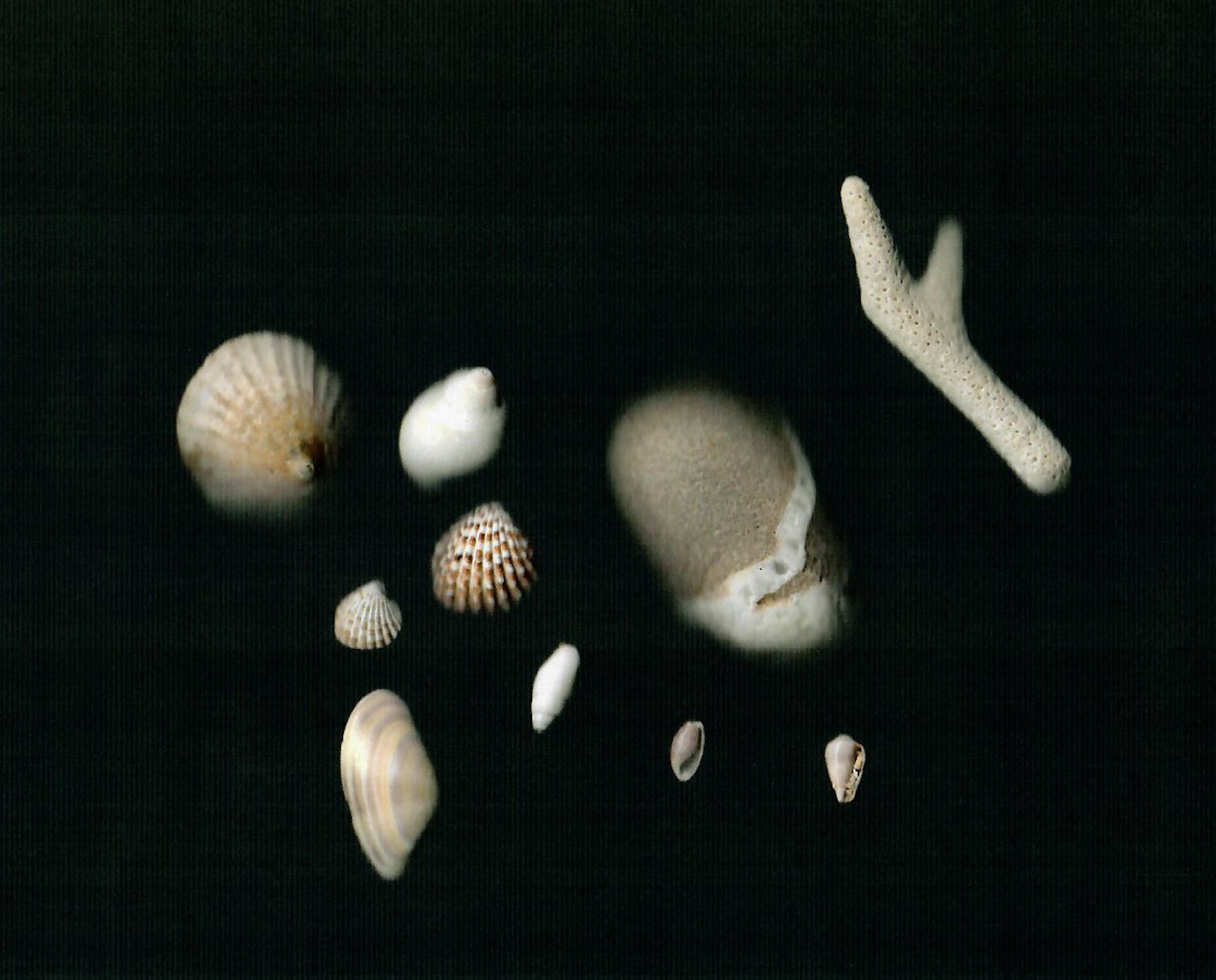 Screenshot 2020-05-30 at 13.24.05.png