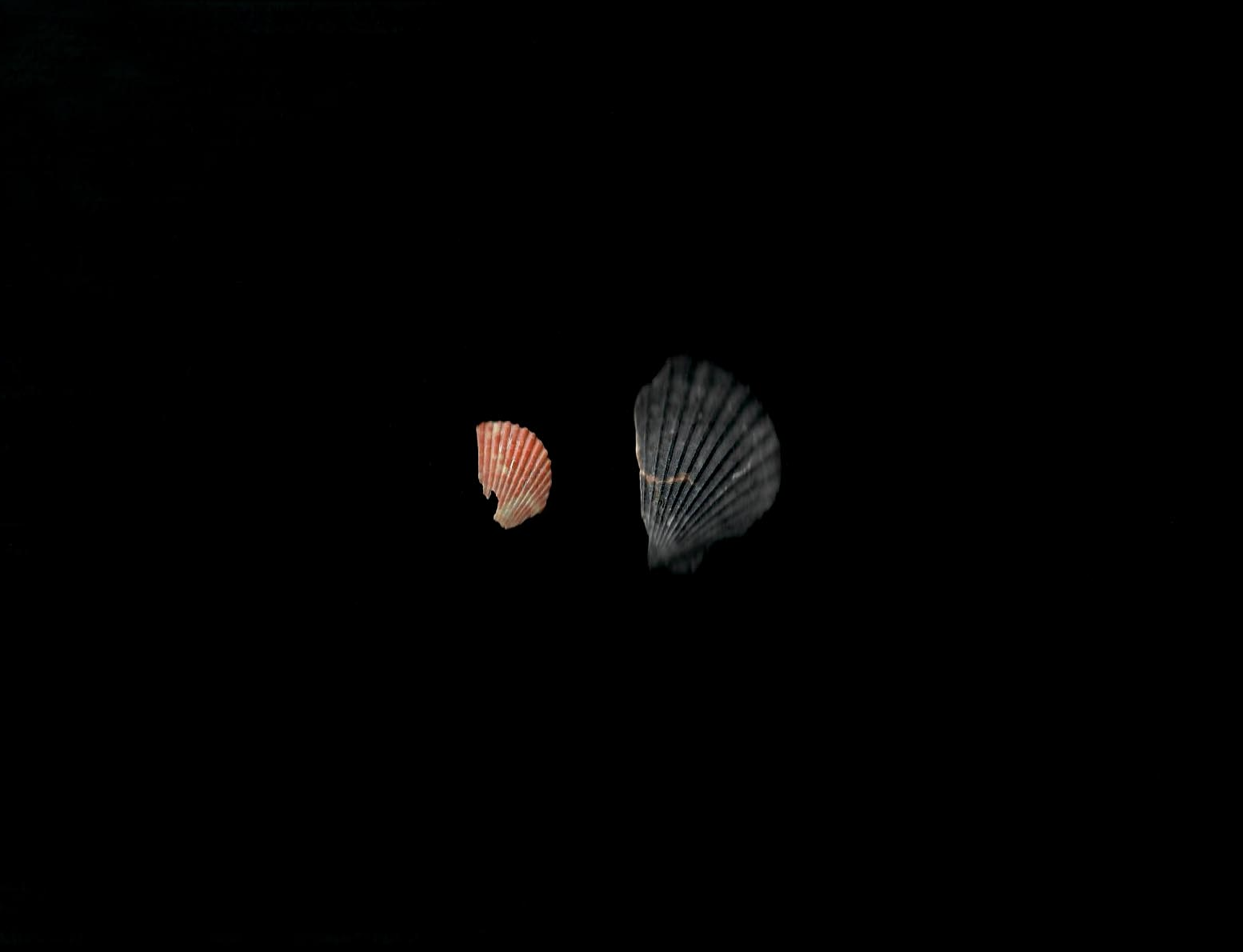 Screenshot 2020-06-26 at 15.09.01.png