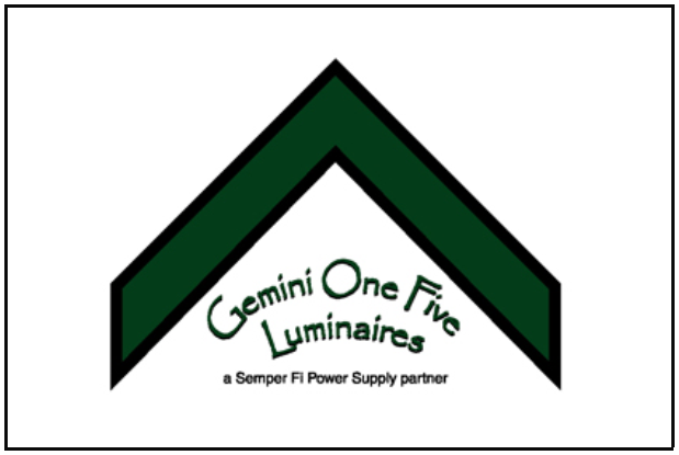 Gemini Logo Web.PNG