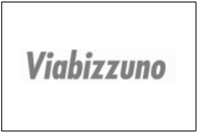 Viabizzuno Logo Web.PNG