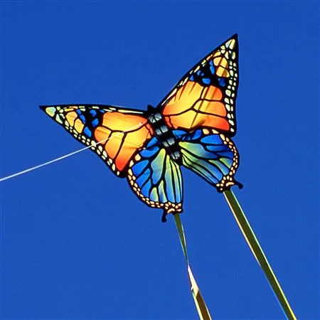 Strategy and butterflies and kites.
