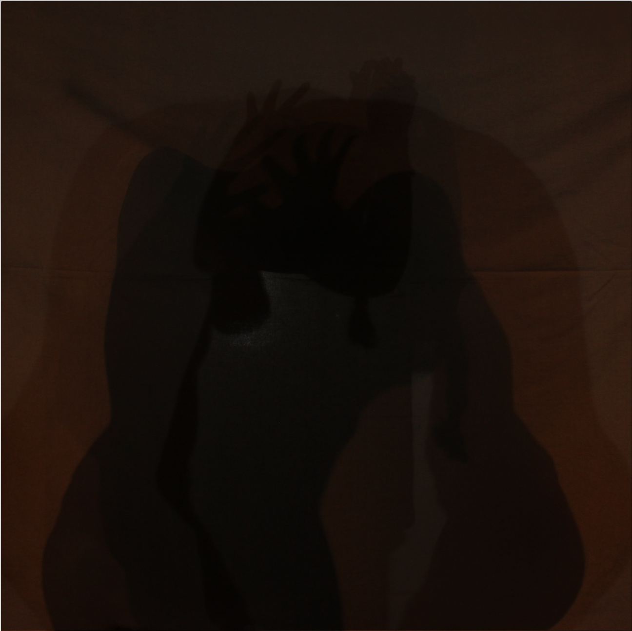 Screen Shot 2017-04-03 at 5.11.06 PM.png