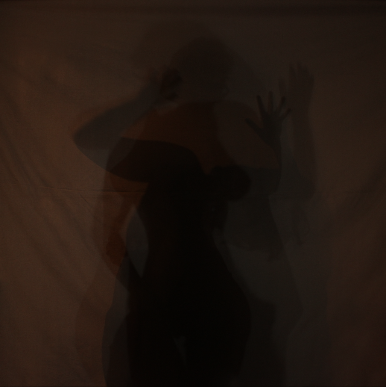 Screen Shot 2017-04-03 at 5.11.29 PM.png