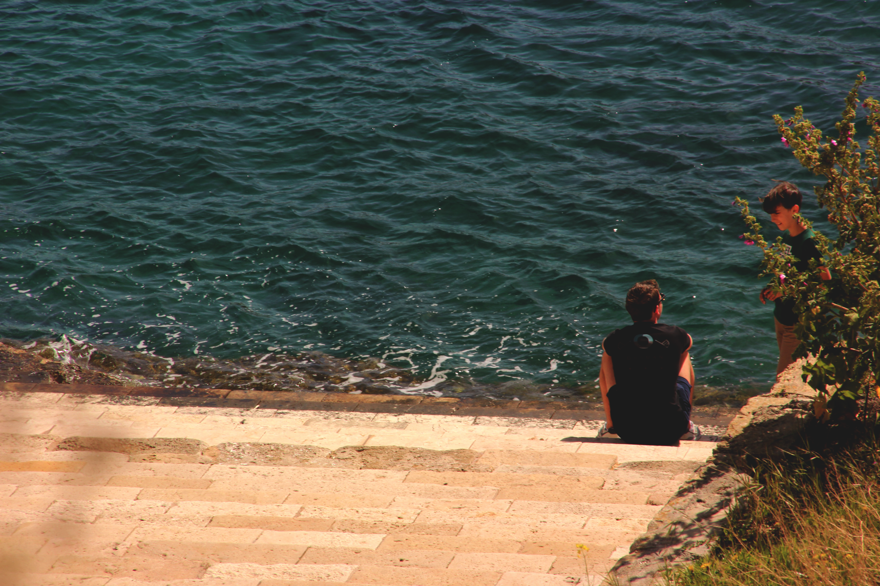 Screen Shot 2018-03-11 at 8.06.12 PM.png