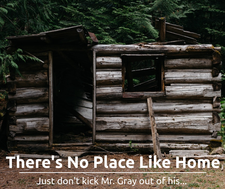 Theres-No-Place-Like-Home.png