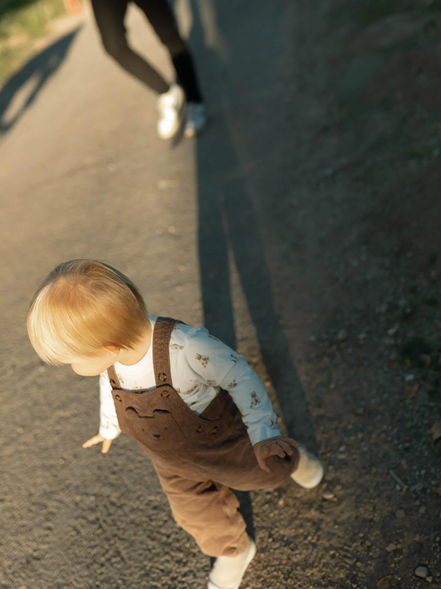 Slowly easing back into posting again after focusing on the holidays, spending time with family and getting through lots of sickness. Feels good to be back in this space! Excited to share work from the past couple months starting with this precious f