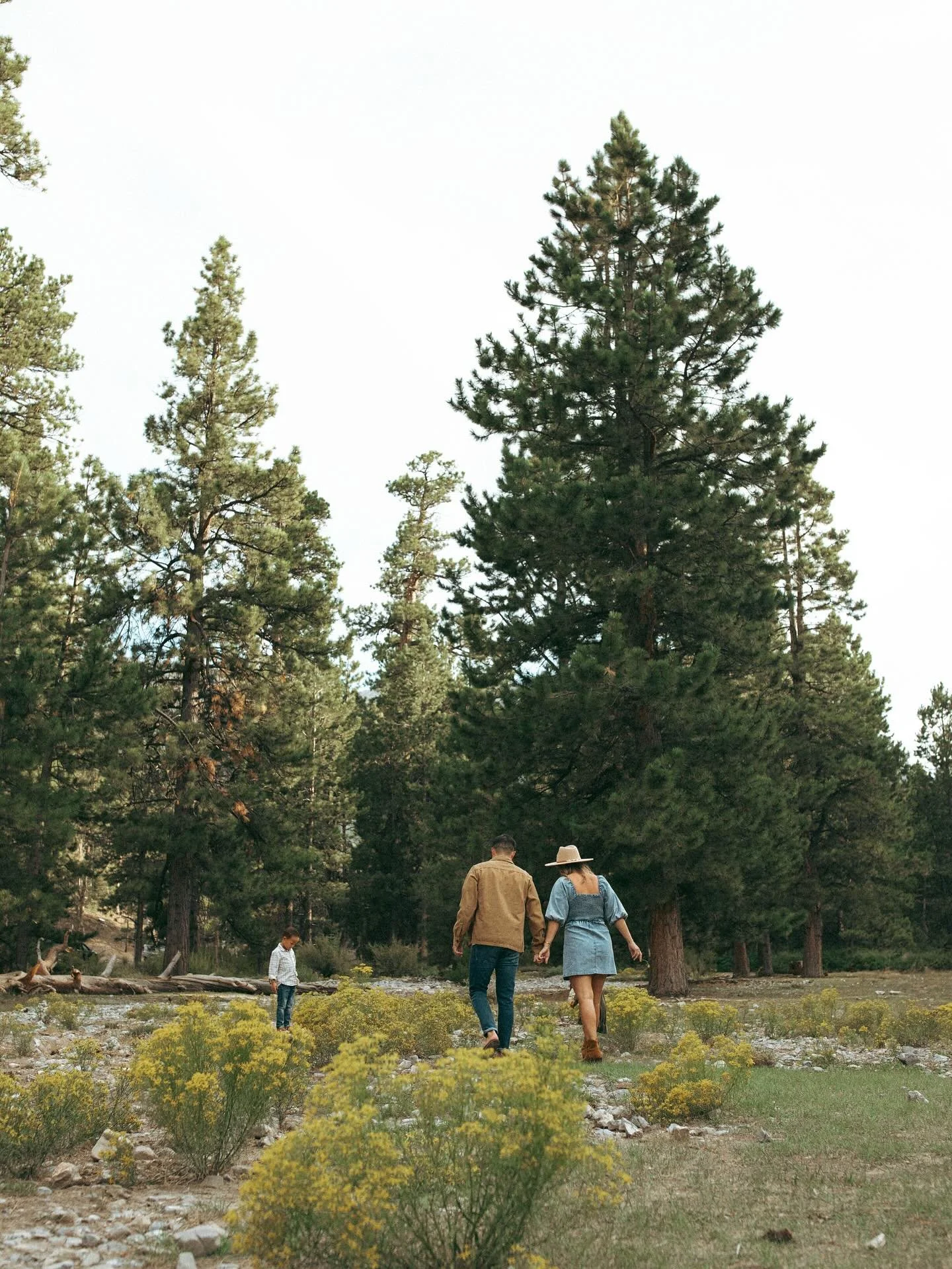 It&rsquo;s been a busy week delivering galleries, finalizing details for sessions this weekend and preparing for our trip to Utah! We leave tomorrow and I can&rsquo;t wait 🥹