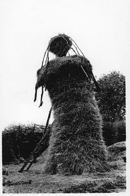 pre_haystacks_001.jpg