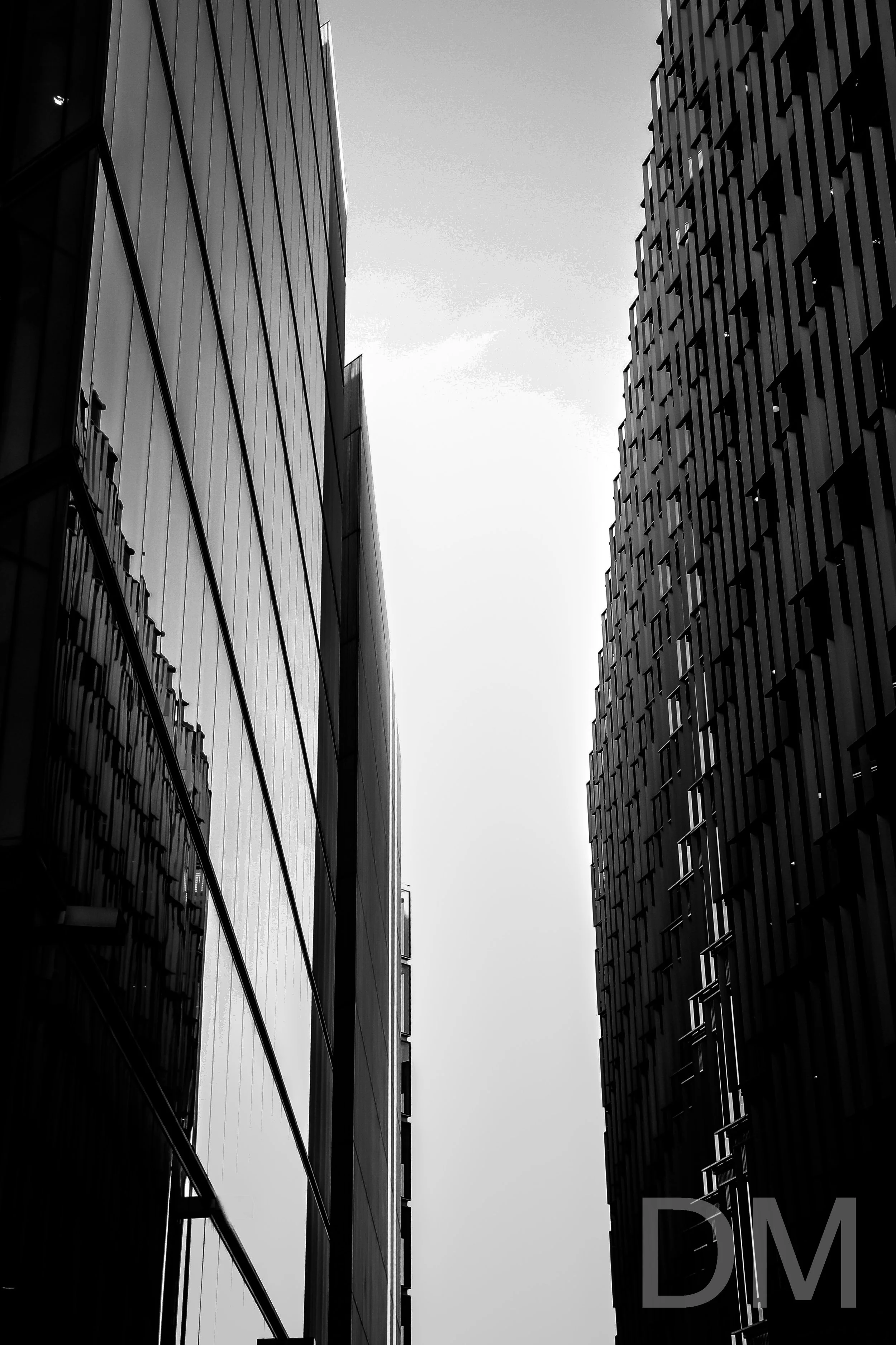 IMG_1291 copy.jpg