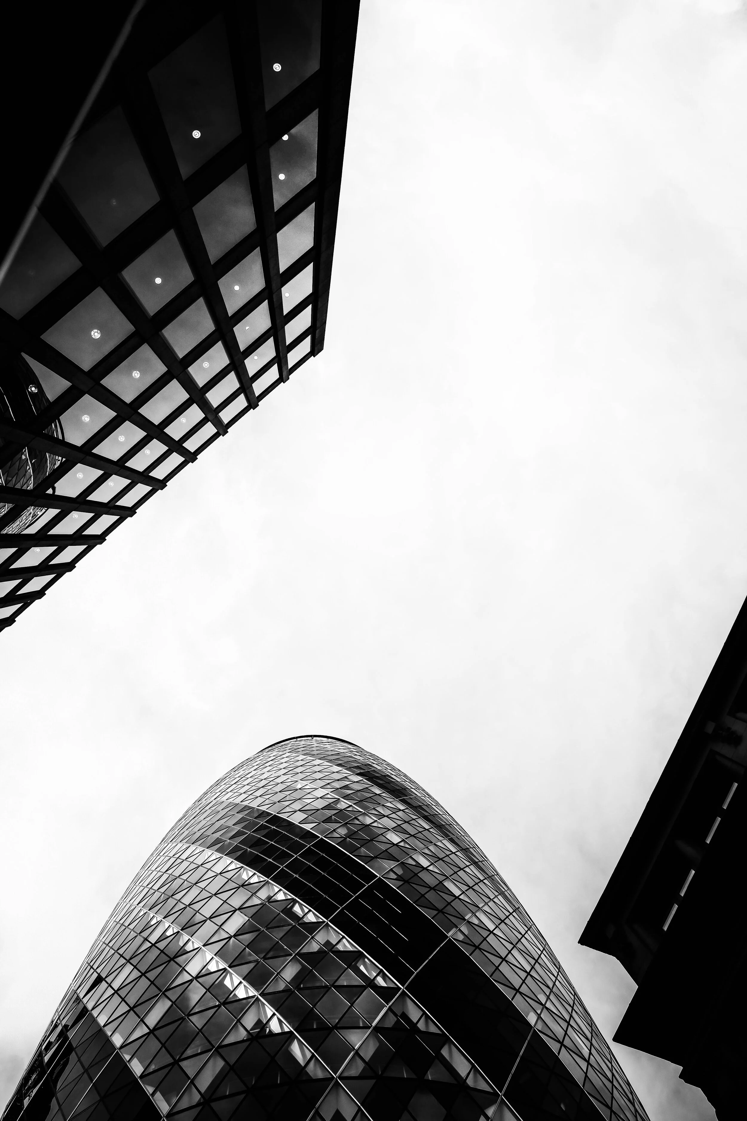 IMG_79220 (2).jpg