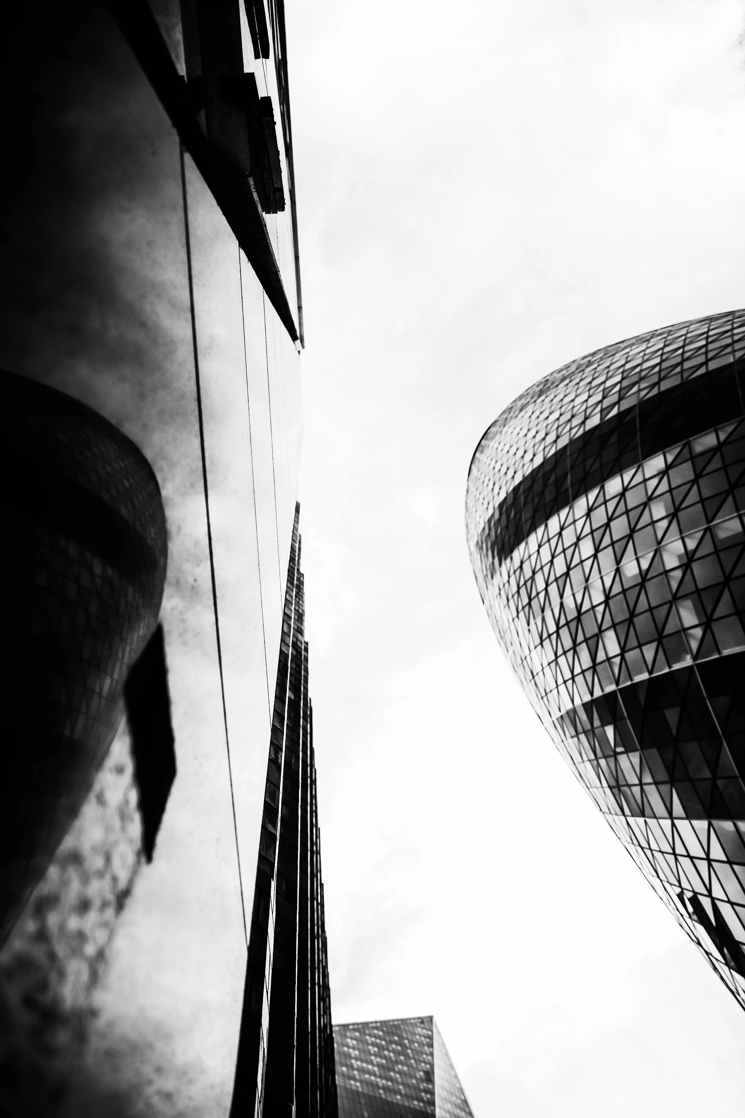 IMG_79220 (3).jpg