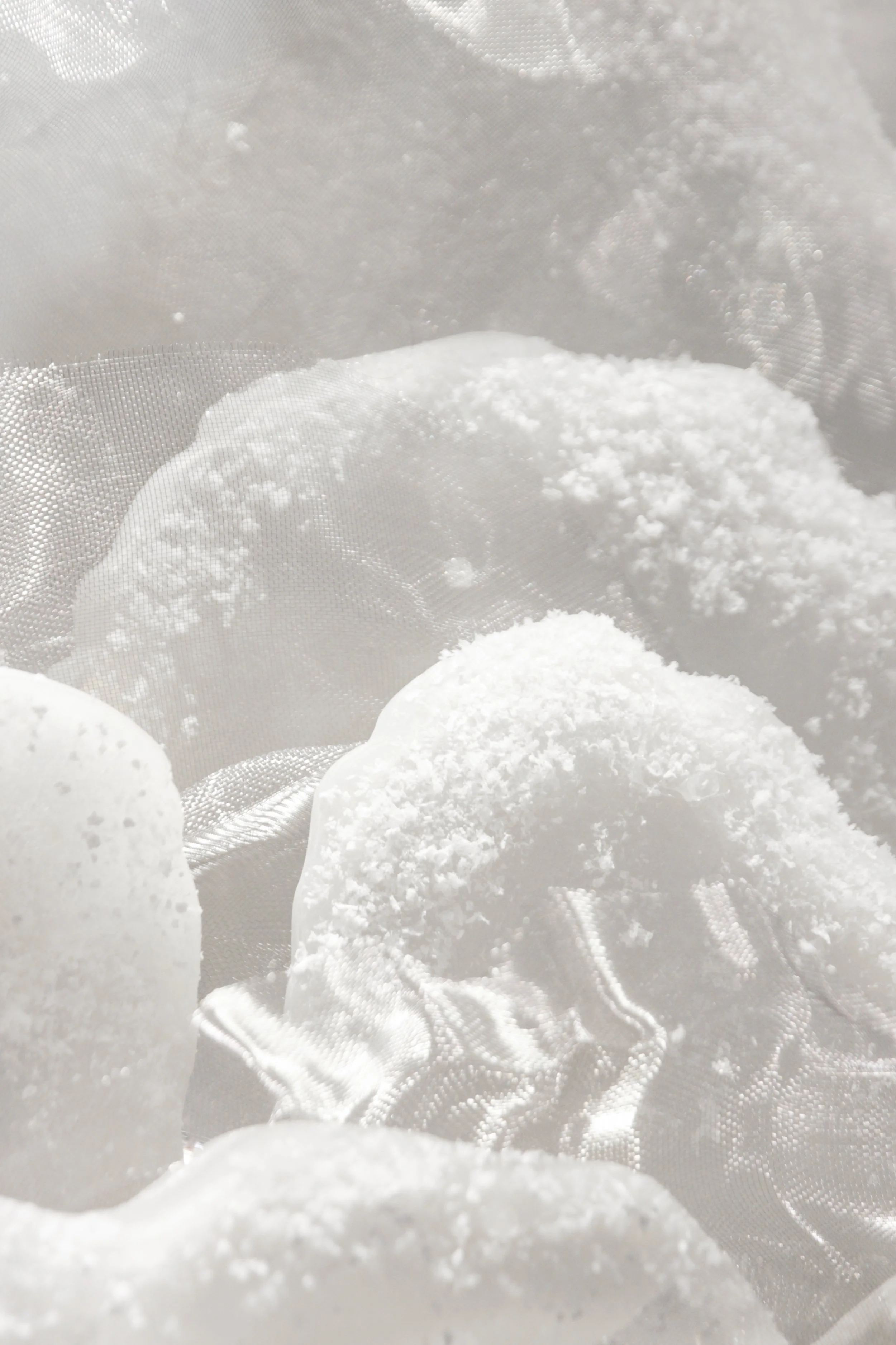 flores (2 de 23).JPG