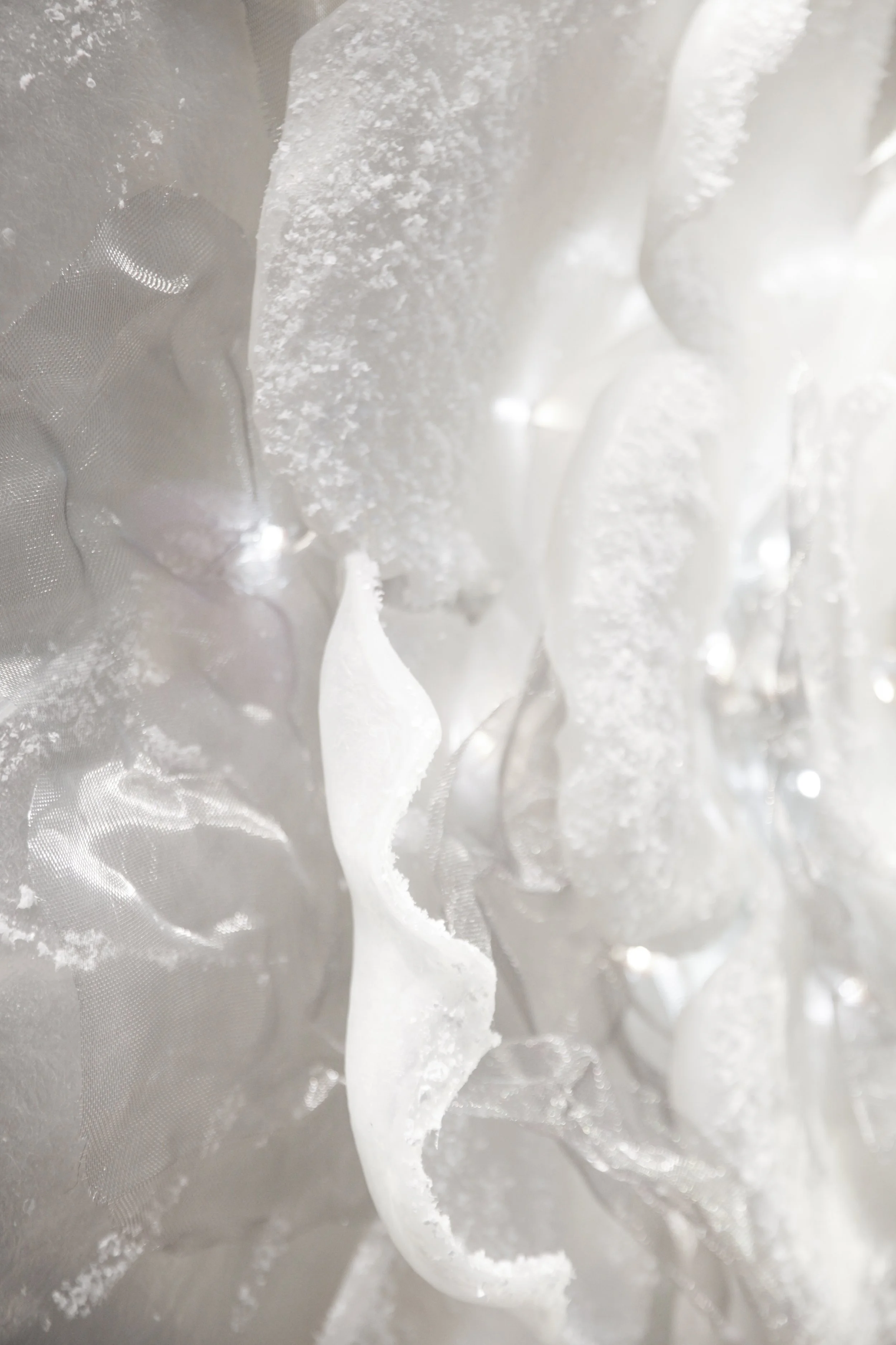 flores (3 de 23).JPG