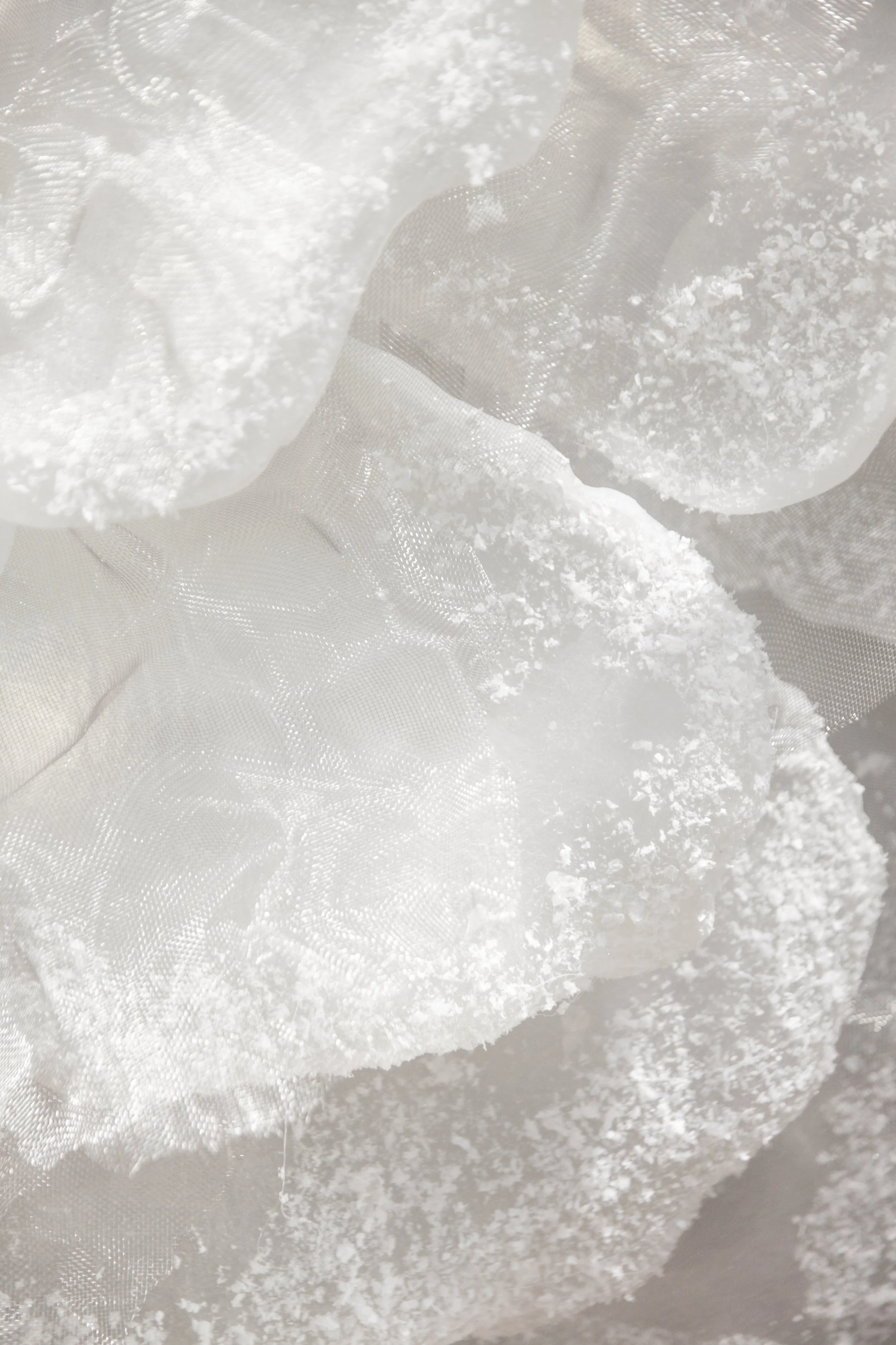 flores (10 de 23).JPG