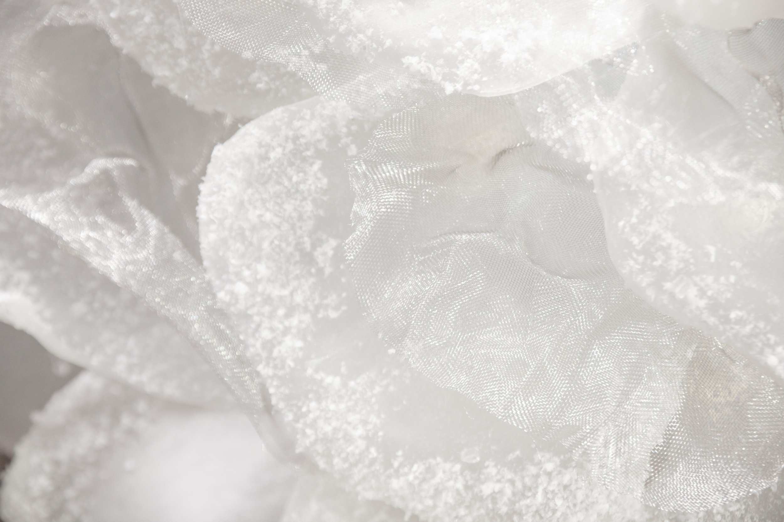 flores (16 de 23).JPG