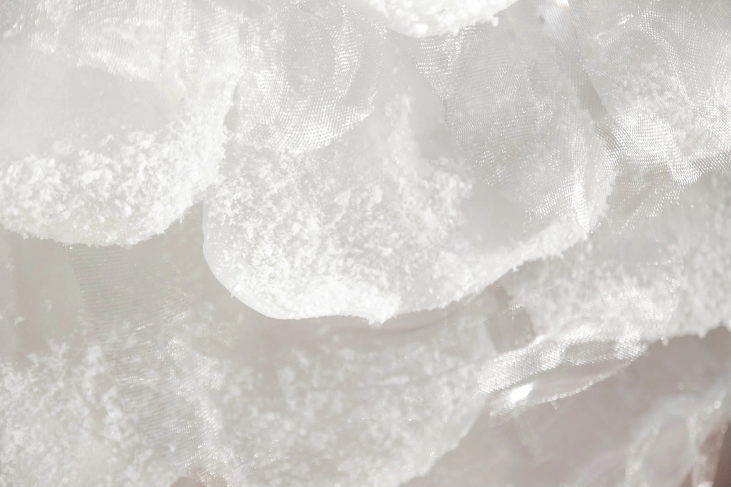 flores (19 de 23).JPG