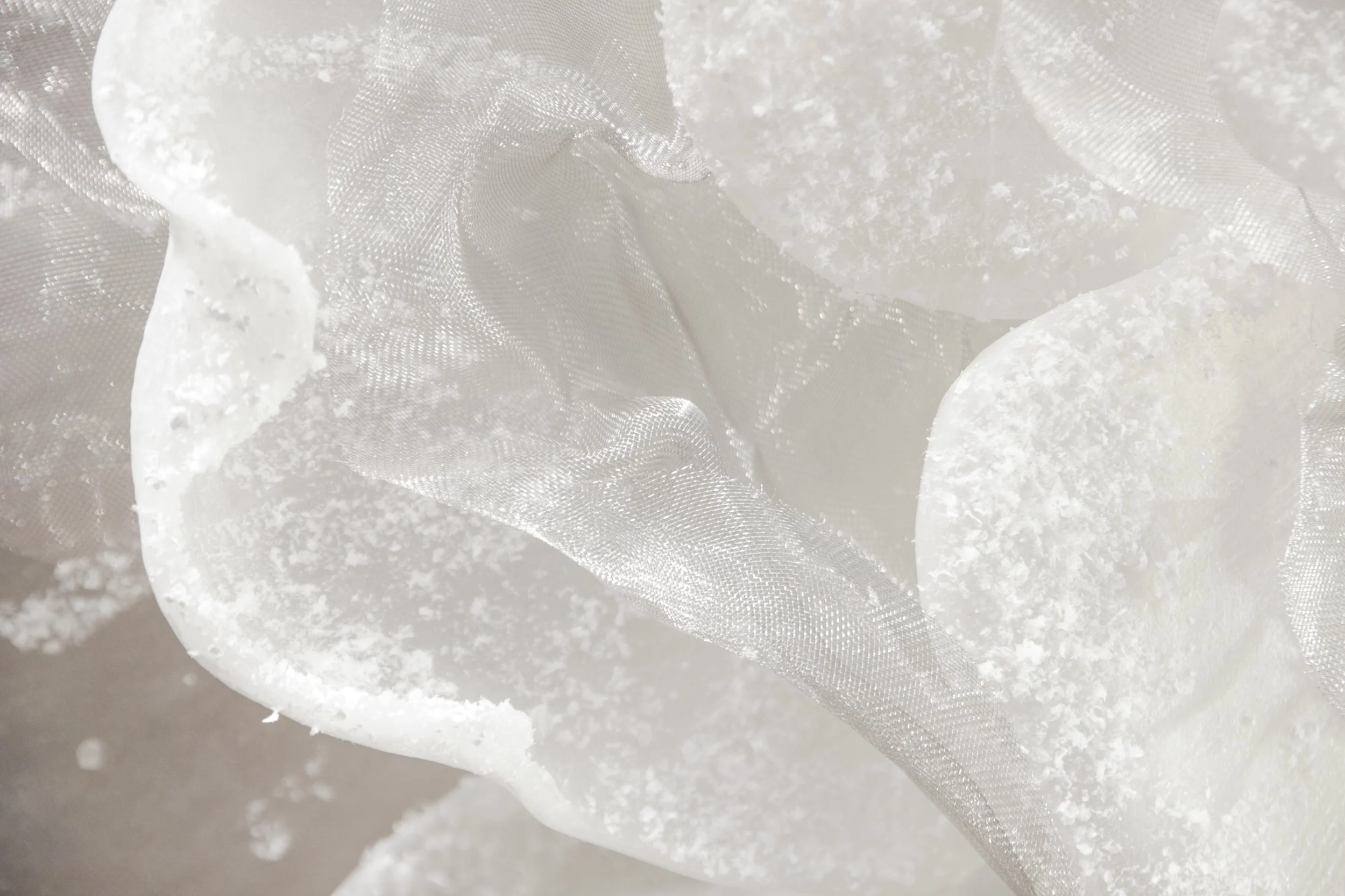 flores (20 de 23).JPG