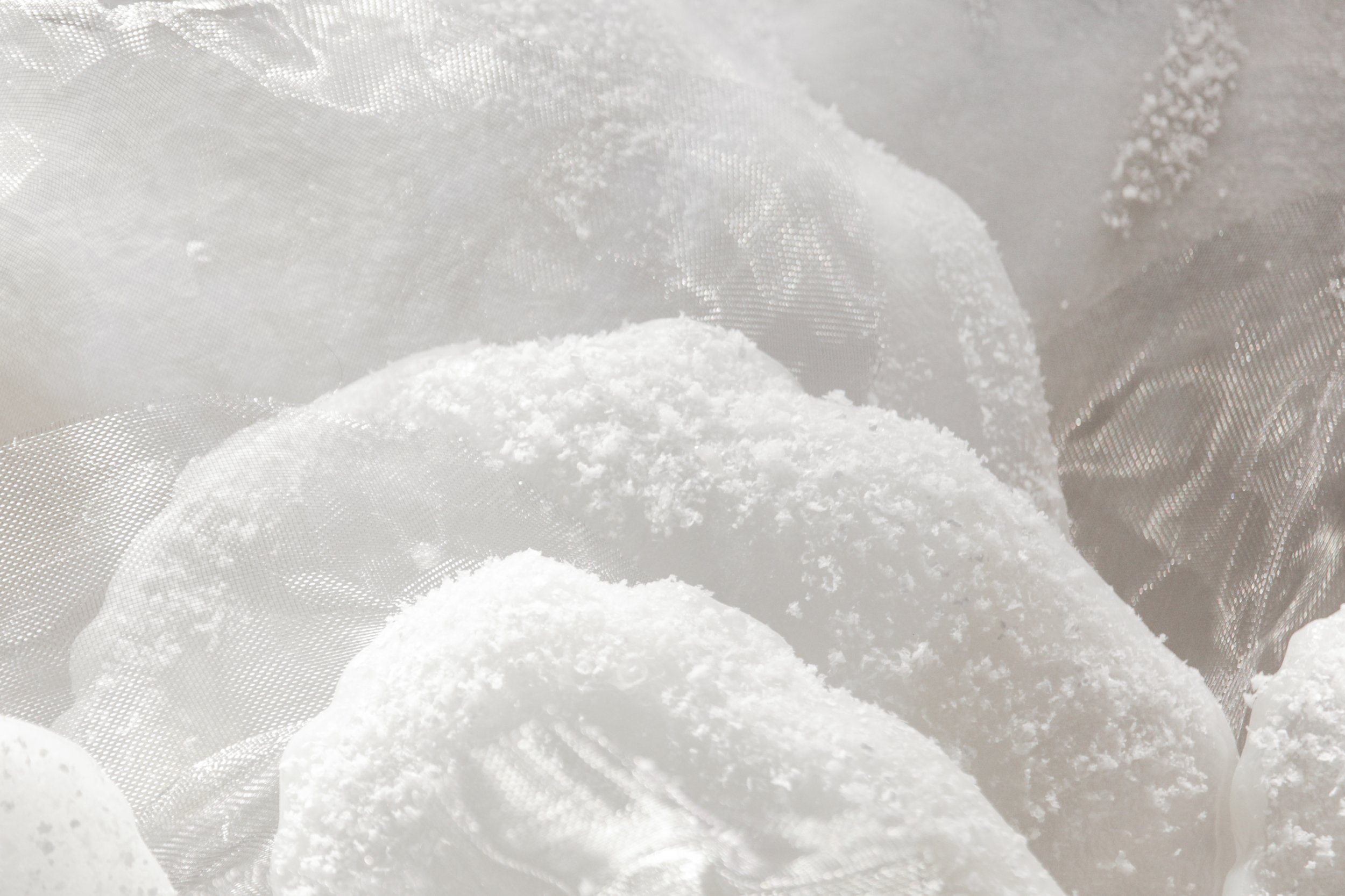 flores (22 de 23).JPG