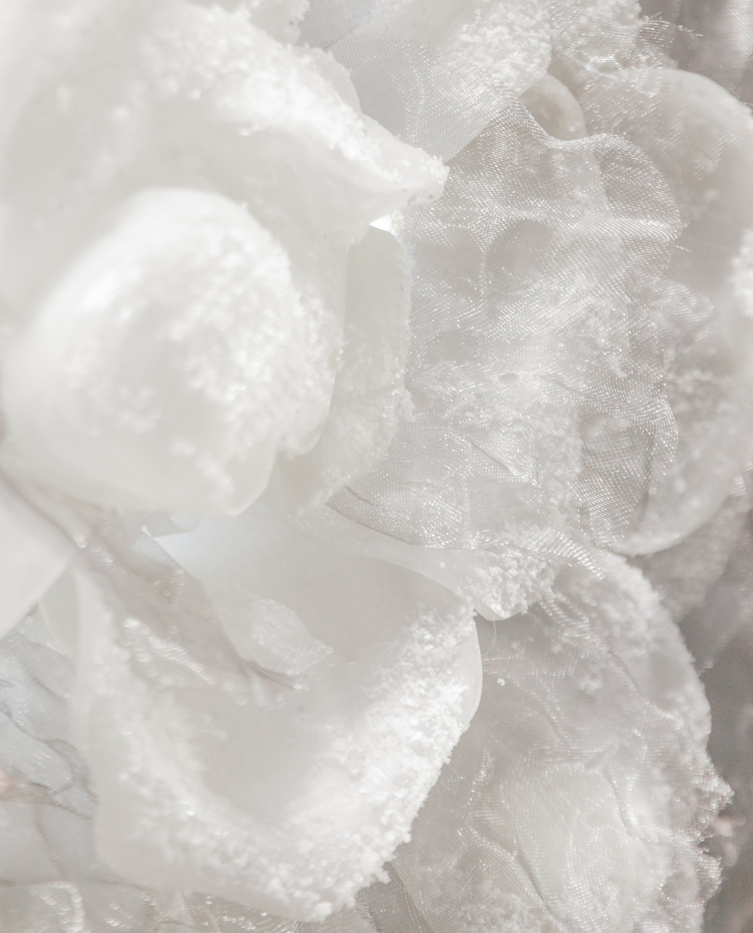 flores (23 de 23).JPG