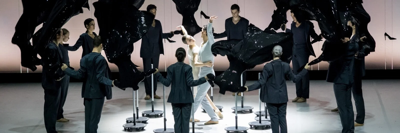 copyright: Ashley Taylor