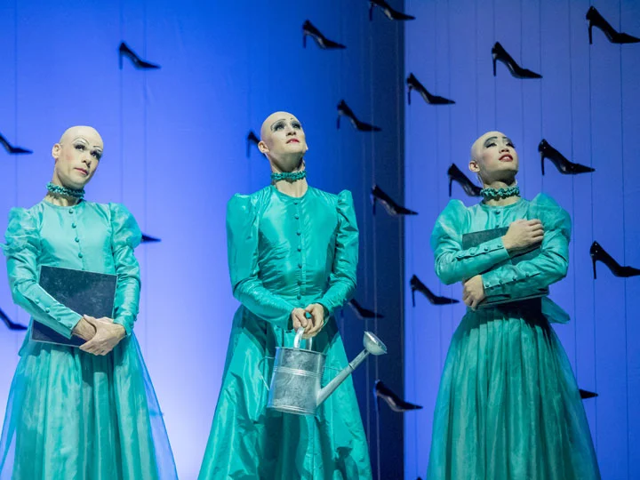 copyright: Ashley Taylor