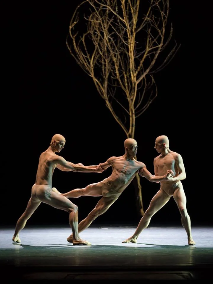 Copyright: Vienna State Ballet / Ashley Taylor (Masayu Kimoto, Tristan Ridel & Denys Cherevychko)