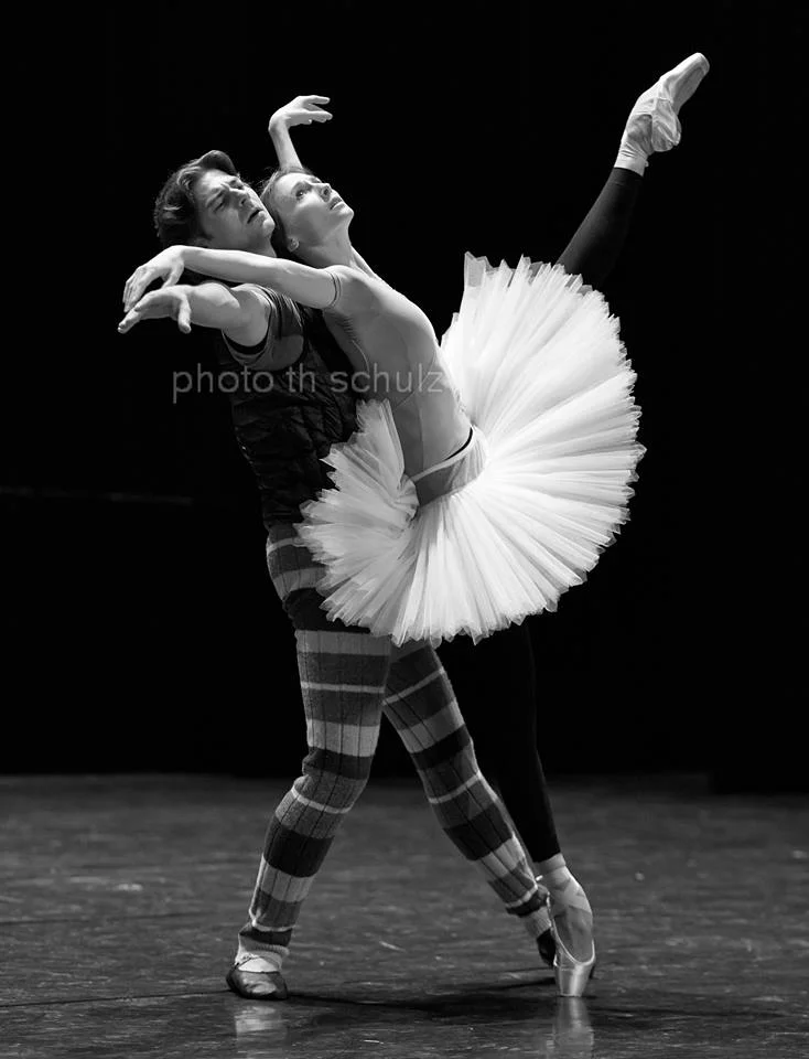 Svetlana Zakharova & Vladimir Shishov: Swan Lake (Vienna, 2015) 